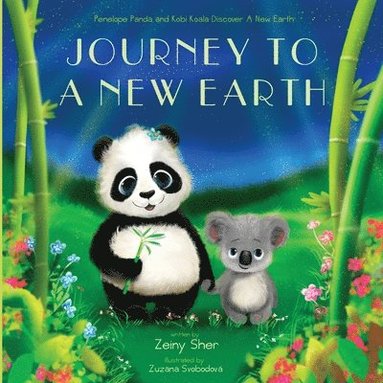 Zeiny Sher - Journey To A New Earth, Häftad