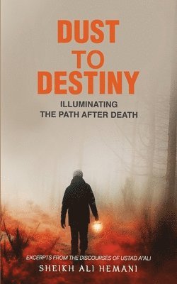 bokomslag Dust to Destiny