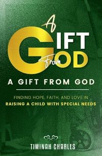 bokomslag Gift from God