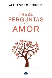 bokomslag Treze Perguntas Ao Amor