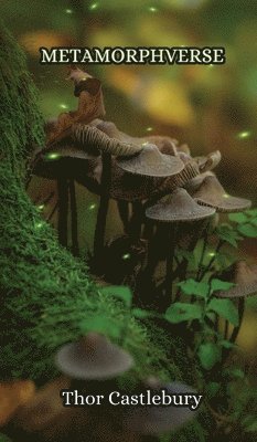 Thor Castlebury - MetamorphVerse, Inbunden