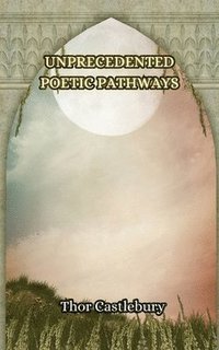bokomslag Unprecedented Poetic Pathways
