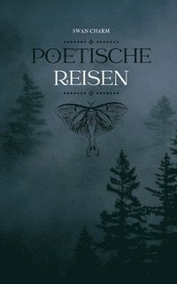 bokomslag Poetische Reisen