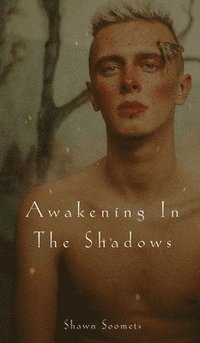 bokomslag Awakening In The Shadows