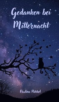 bokomslag Gedanken bei Mitternacht