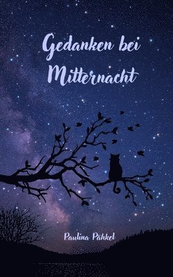 bokomslag Gedanken bei Mitternacht