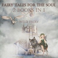 bokomslag Fairy Tales For The Soul