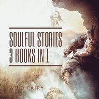 bokomslag Soulful Stories