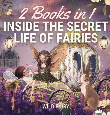 bokomslag Inside the Secret Life of Fairies