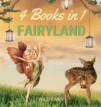 bokomslag Fairyland