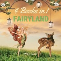 bokomslag Fairyland