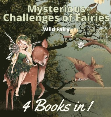 Mysterious Challenges of Fairies 1