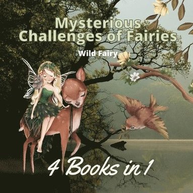 bokomslag Mysterious Challenges of Fairies