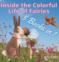 bokomslag Inside the Colorful Life of Fairies