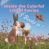 bokomslag Inside the Colorful Life of Fairies