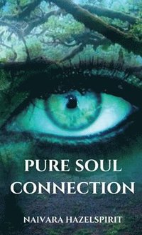 bokomslag Pure Soul Connection