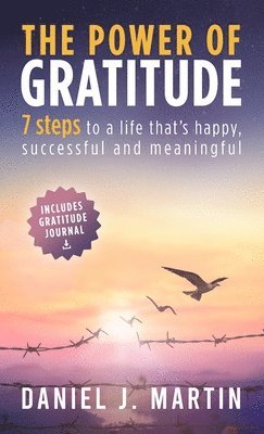 bokomslag The power of gratitude: 7 steps to a happier, more successful and more meaningful life