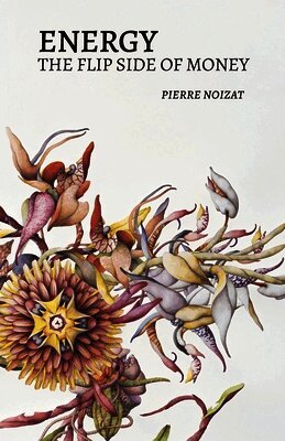 Pierre Noizat, Mel Shilling - Energy, the flip side of money, Häftad