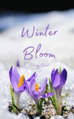 Winter Bloom 1