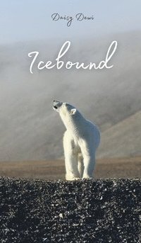 bokomslag Icebound