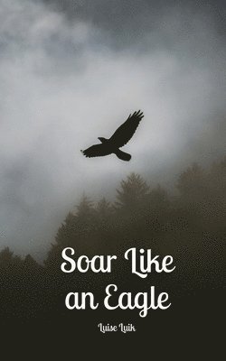 Soar Like an Eagle 1