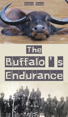 bokomslag The Buffalo's Endurance