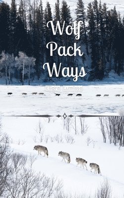 bokomslag Wolf Pack Ways