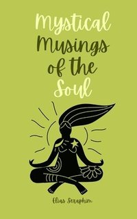 bokomslag Mystical Musings of the Soul