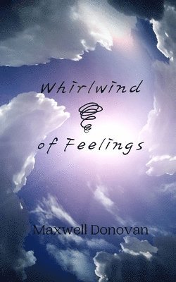 Whirlwind of Feelings 1