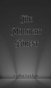 bokomslag The Midnight Forest