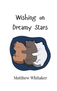 bokomslag Wishing on Dreamy Stars