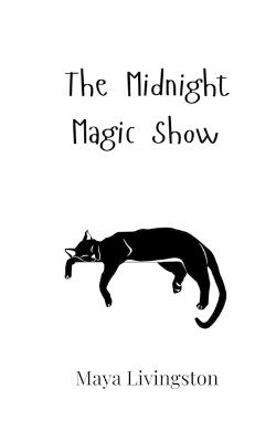 bokomslag The Midnight Magic Show