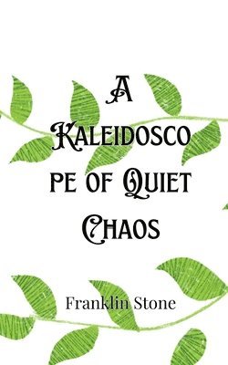 A Kaleidoscope of Quiet Chaos 1