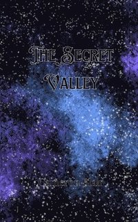 bokomslag Secret Valley