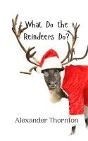 What Do the Reindeers Do? 1