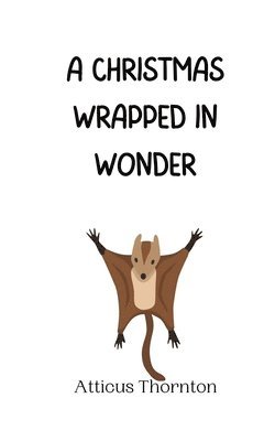 bokomslag Christmas Wrapped in Wonder