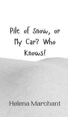 bokomslag Pile of Snow, or My Car? Who Knows!