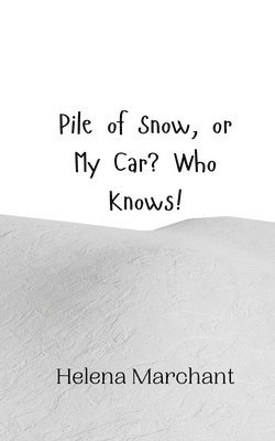 Pile of Snow, or My Car? Who Knows! 1