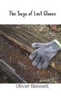 The Saga of Lost Gloves 1