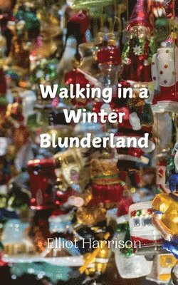 Walking in a Winter Blunderland 1