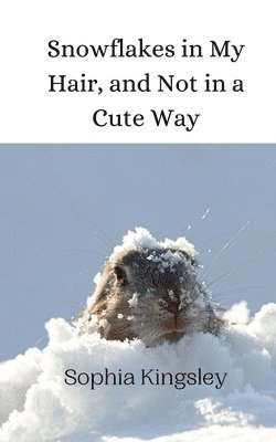 Snowflakes in My Hair, and Not in a Cute Way 1