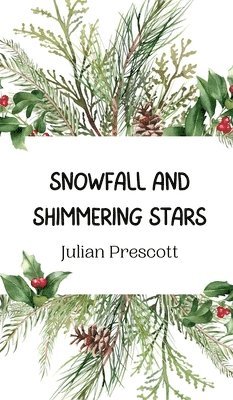 Snowfall and Shimmering Stars 1