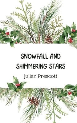 Snowfall and Shimmering Stars 1