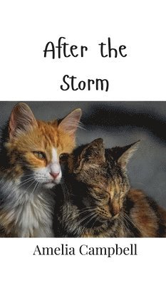 After the Storm