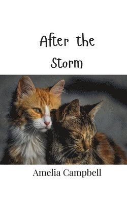 After the Storm 1