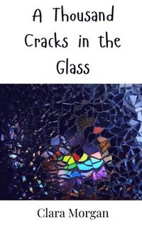 bokomslag Thousand Cracks in the Glass