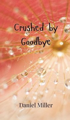 Crushed by Goodbye 1