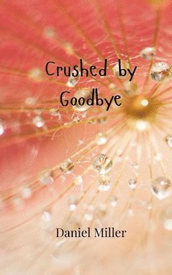 Crushed by Goodbye 1