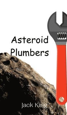 bokomslag Asteroid Plumbers