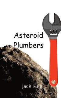 bokomslag Asteroid Plumbers